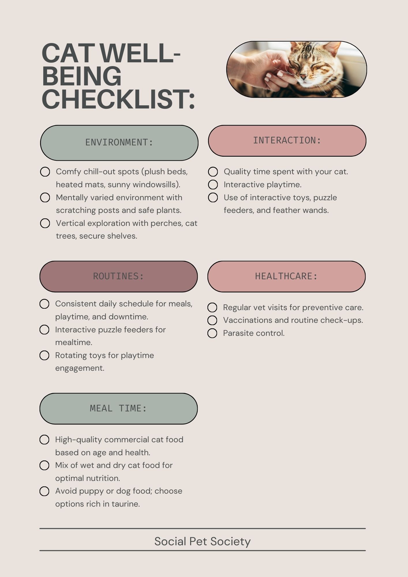 A checklist of the ways to keep your cat well.
