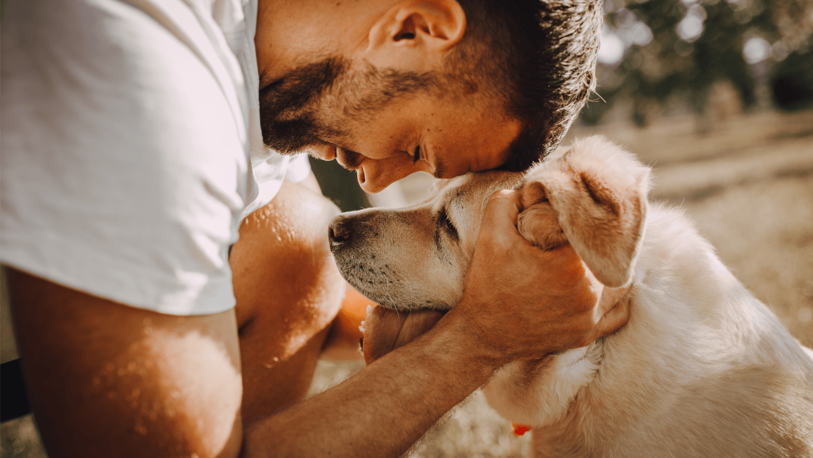 Effortless Pet Care