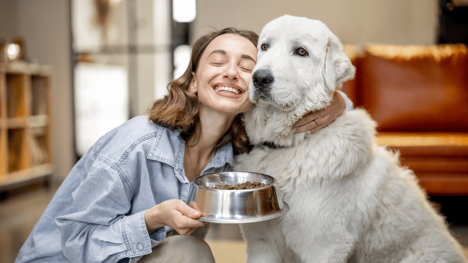 Dog lives inside happily with female owner showing that a dog can be inside.