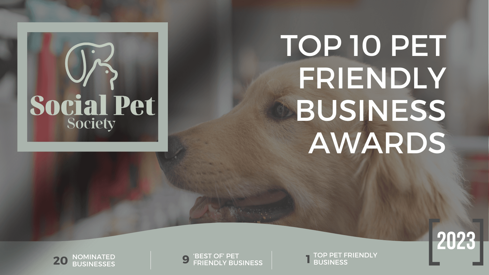 Poster for Townsville Pet-Friendly Business Award 2023 featuring a joyful dog surrounded by logos of the Top 10 Winners, celebrating the ultimate pet-friendly business of the year.
