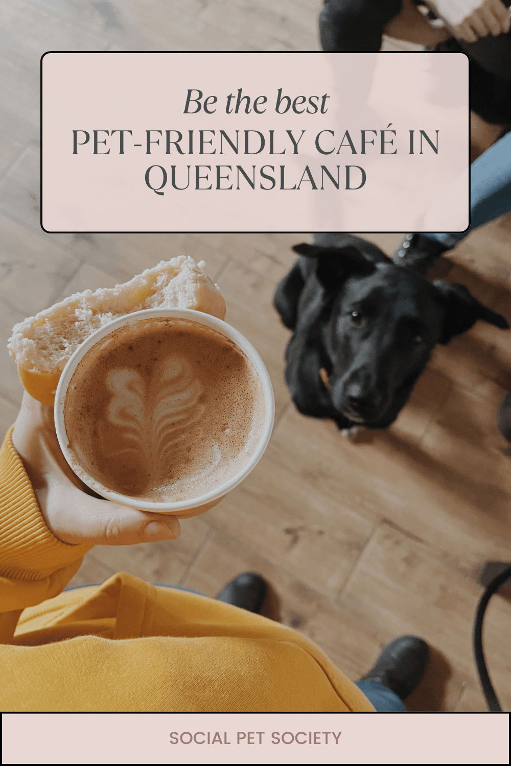 A dog sitting at the feet of a woman enjoying a cupcake and coffee at a cozy café, with a relaxed and welcoming atmosphere.