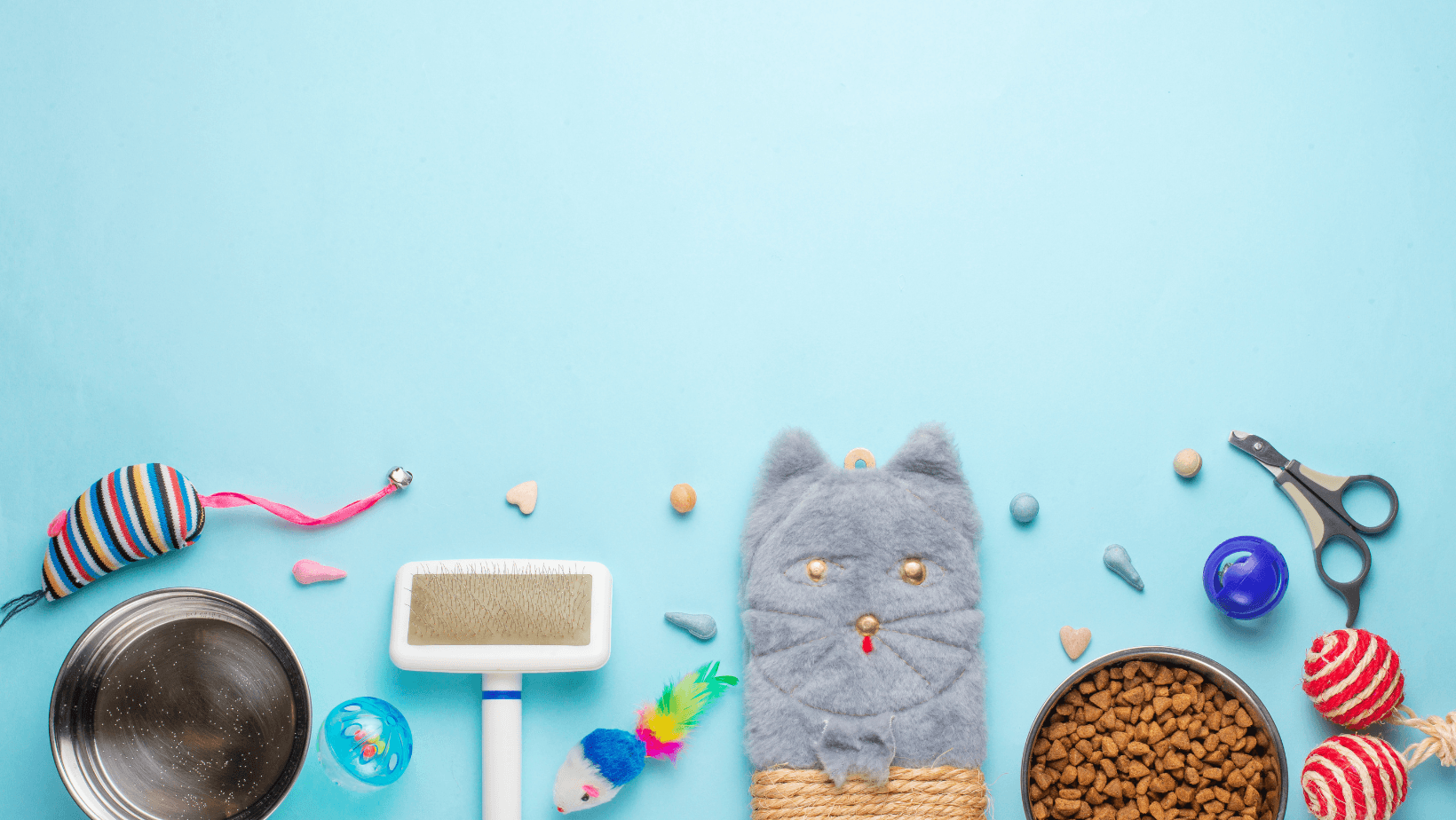 A neatly organised array of pet supplies, including food containers, toys, grooming tools, and accessories.