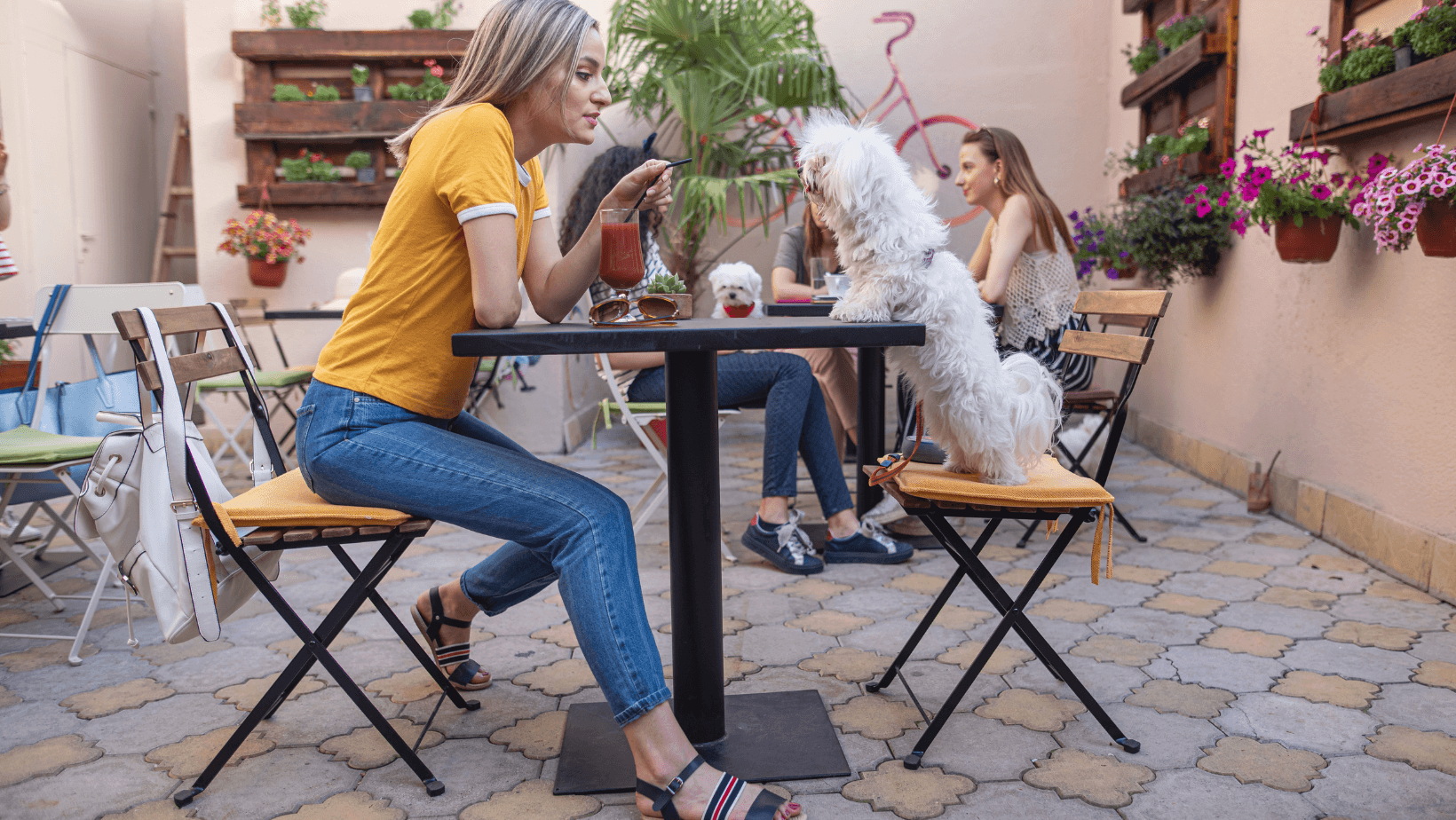 Sophisticated Woman Enjoying a Charming Café Moment with Her Canine Companion