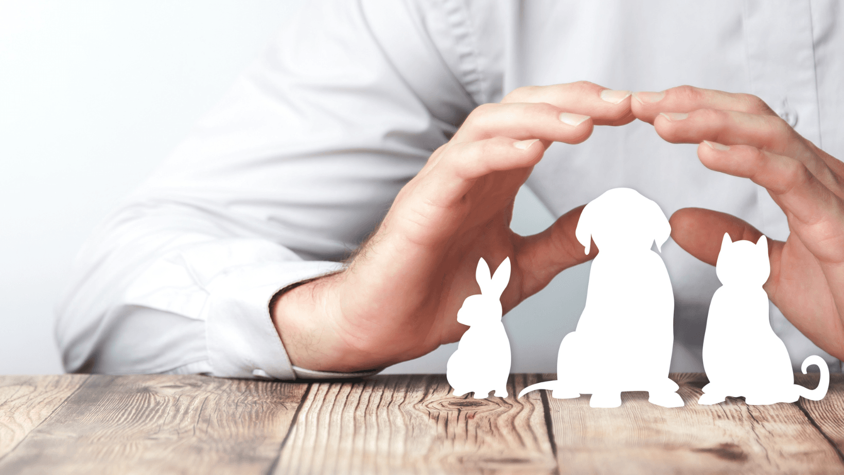 Hands lovingly cradling a dog, cat, and rabbit - symbolising the inclusive care provided by our pet-friendly business.