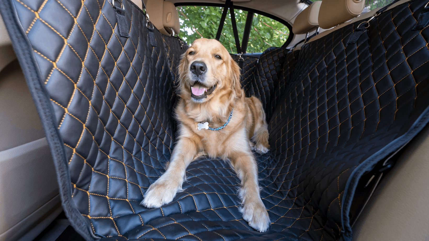 A large dog sits comfortably in a car seat, secured with safety restraints, and surrounded by a cosy blanket. This setup not only ensures the dog's safety during travel but also maintains a clean and comfortable environment. The thoughtful arrangement provides a secure and enjoyable journey for both the canine companion and the driver.