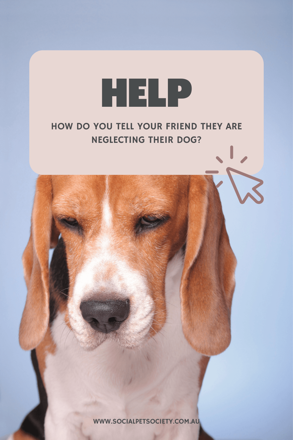 An image of a sad lonely dog ignored by its owner.