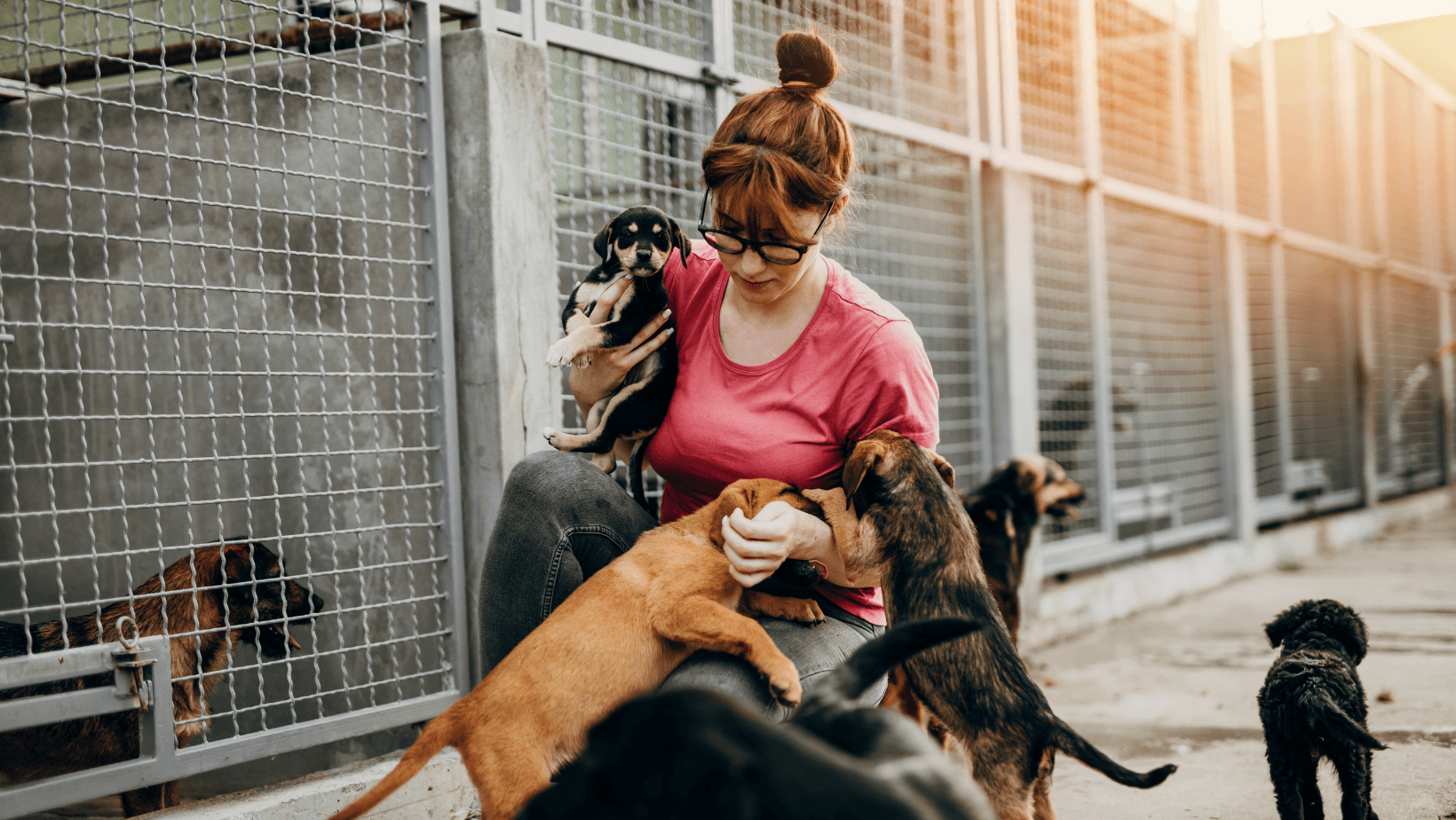An image of a Woman encouraging young pups to jump without realising it