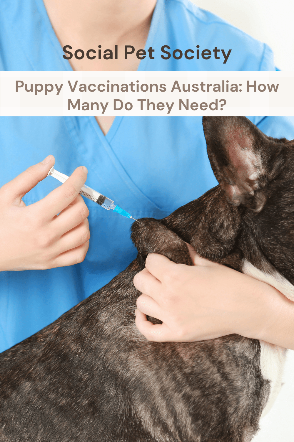 A Pinterest pin that says, vaccinations Australia: how many do they really need?