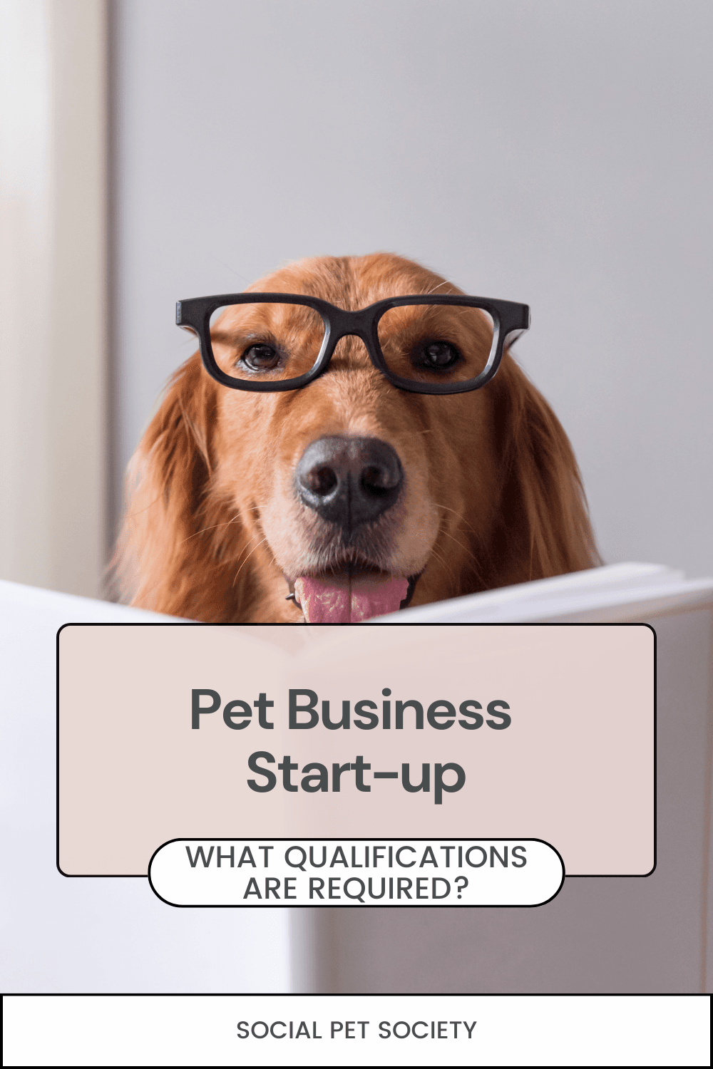 A dog studying from a book, emphasising the importance of pet business qualifications