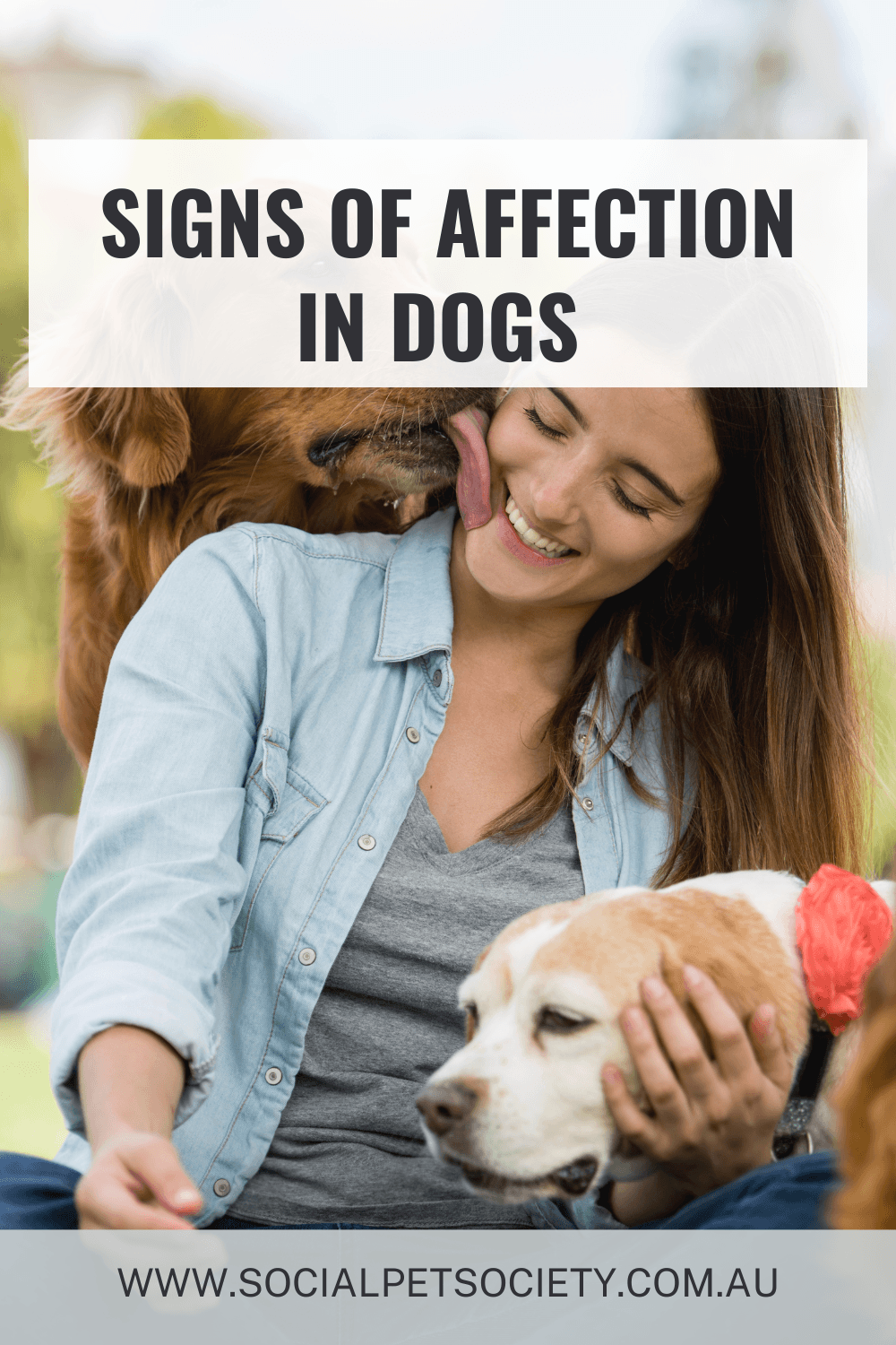 A lady petting one dog while getting licked by another, smiling.
