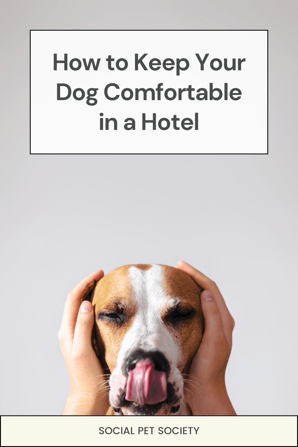 An owner with their hands over their dog's ears, soothing and calming them down in a comforting gesture.