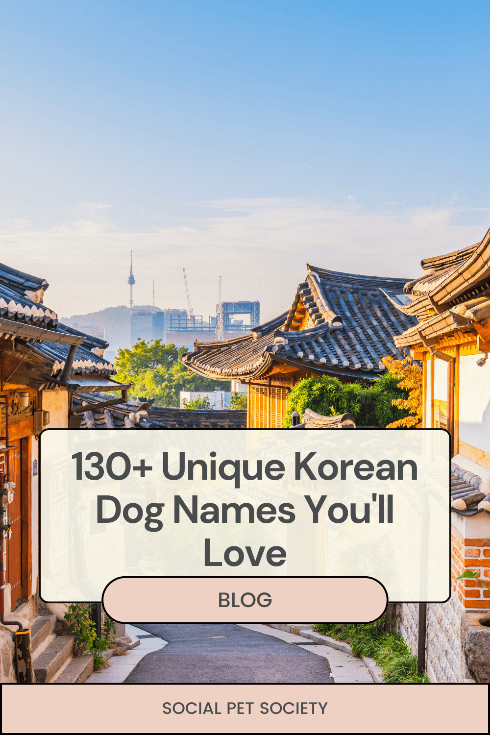 Tranquil town in Korea with traditional buildings and scenic views.