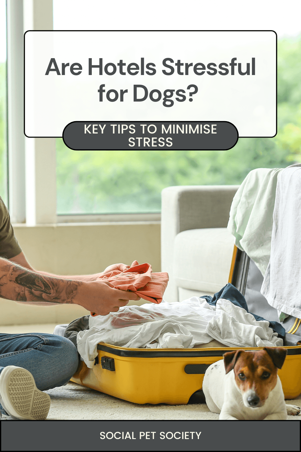 Man packing a suitcase with his dog watching, getting ready for a trip.